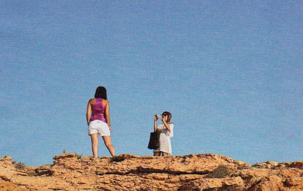 Documentalismo veraniego Documentalismo veraniego