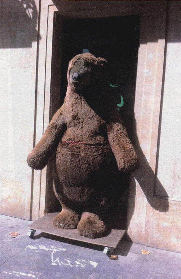 Oso felpudo