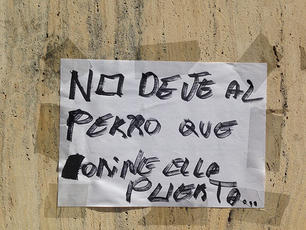 Perros y dueños Perros y dueños