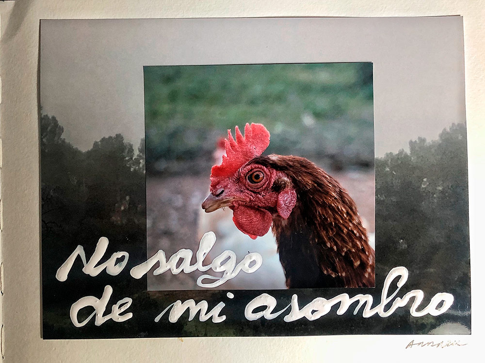 No salgo de mi asombro