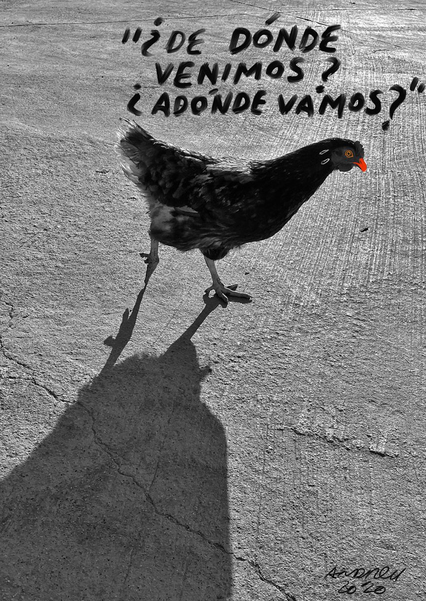 ¿De dónde venimos? ¿Adónde vamos?